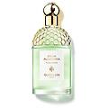 aqua allegoria rosa verde eau de toilette 125ml