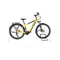 ebike ricondizionata · iconic evo 2 · buone condizioni