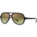 occhiali da sole cats 5000 rb4125 710/a6