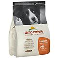 holistic maintenance crocchette salmone fresco cani adulti taglia media grande sacco 2kg