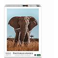 elefante africano puzzle 1000 pezzi donal boyd