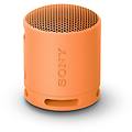 srs-xb100 speaker wireless bluetooth portatile leggero compatto da esterno da viaggio resistente