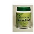 srl ribes nero cassis 60cps