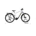 ebike ricondizionata · trekking 6 · buone condizioni