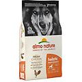holistic maintenance l pollo fresco alimento secco per cani adulti 12kg