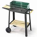 50-25 green/w barbecue a carbone