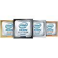 processore intel xeon gold 6234 8 core 3 3 ghz 4 ghz turbo server lga3647