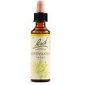 fiori di bach 16 honeysuckle gocce 20 ml