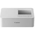 stampante fotografica selphy cp1500 white 5540c003