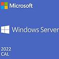 ms ws22 5usr cal ww ltu p46215-b21