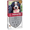 advantix spot-on antipulci antipidocchi cani 40-60 kg 4 pipette x 6ml