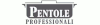 Pentoleprofessionali